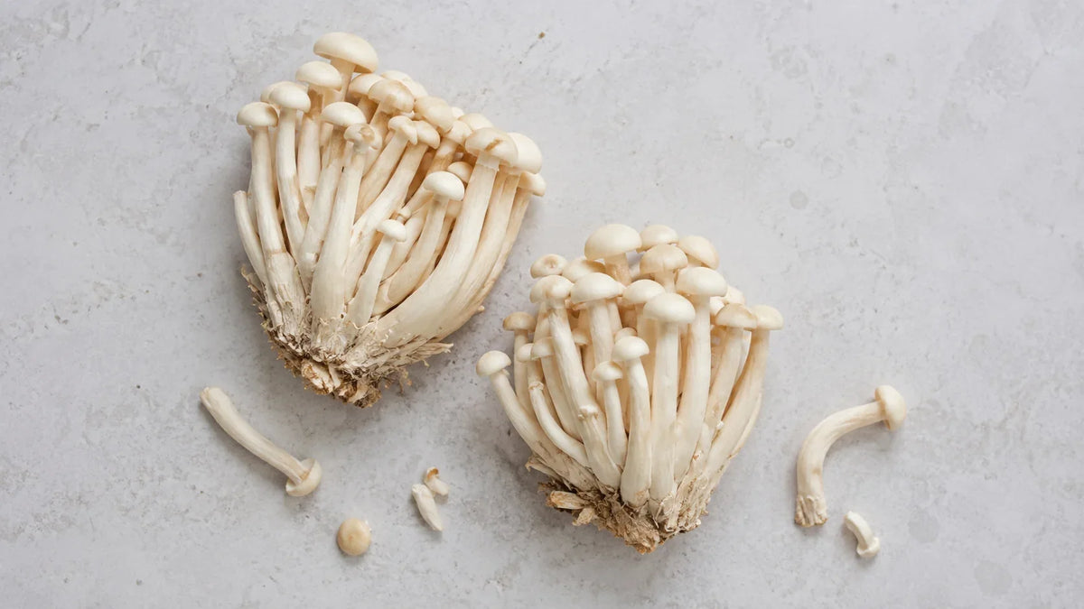 Two fresh white shimeji clusters on pale grey stone with a few separated stems, showing the small pale caps and thin white stems.
