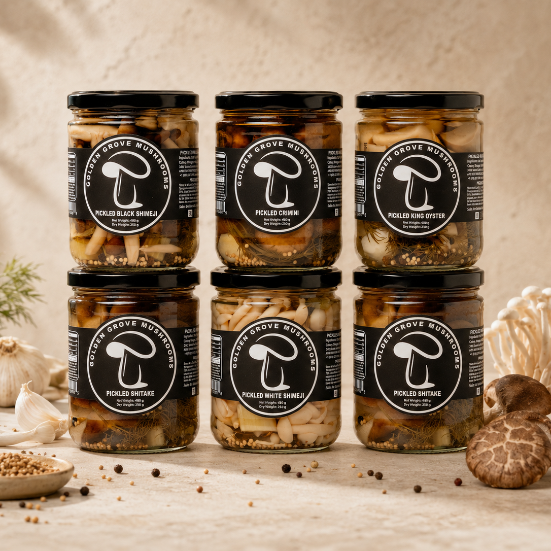 Six jars of Golden Grove pickled mushrooms, the 6-Pack